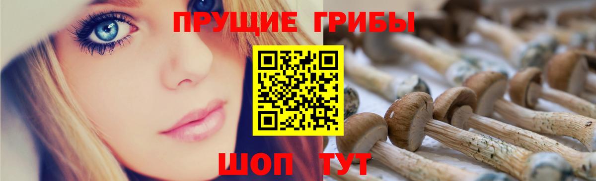 Галлюциногенные грибы Magic Shrooms  Галлюциногенные грибы Psilocybe  Вход с VPN  Когалым 